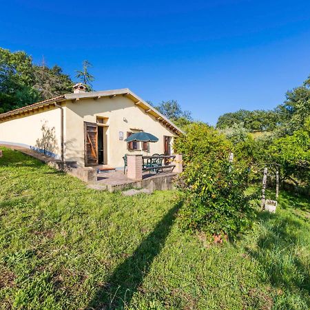 Holiday Home Grilli By Interhome Scansano Kültér fotó